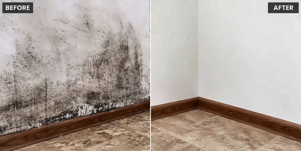 Naples water damage restoration: before and after mold remediation in Naples, FL on a wall